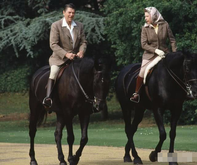 Reglas de supervivencia